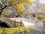 Central Canvas Paintings - Early Snowfall, Central Park